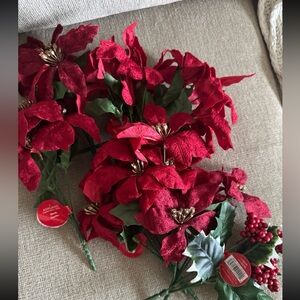 Christmas Poinsettia bundle new